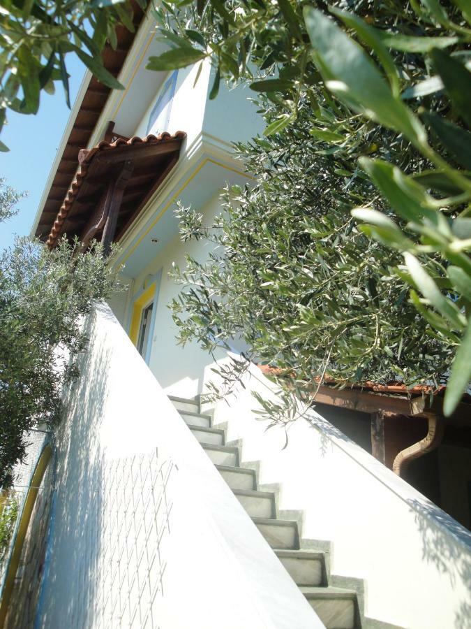Villa Di Costa 네아 스키오니 외부 사진